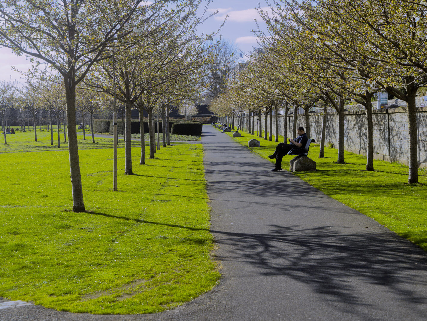 THE CROPPIES ACRE MEMORIAL PARK [AT THE MUSEUM LUAS TRAM STOP ON BENBURB STREET]-248743-1