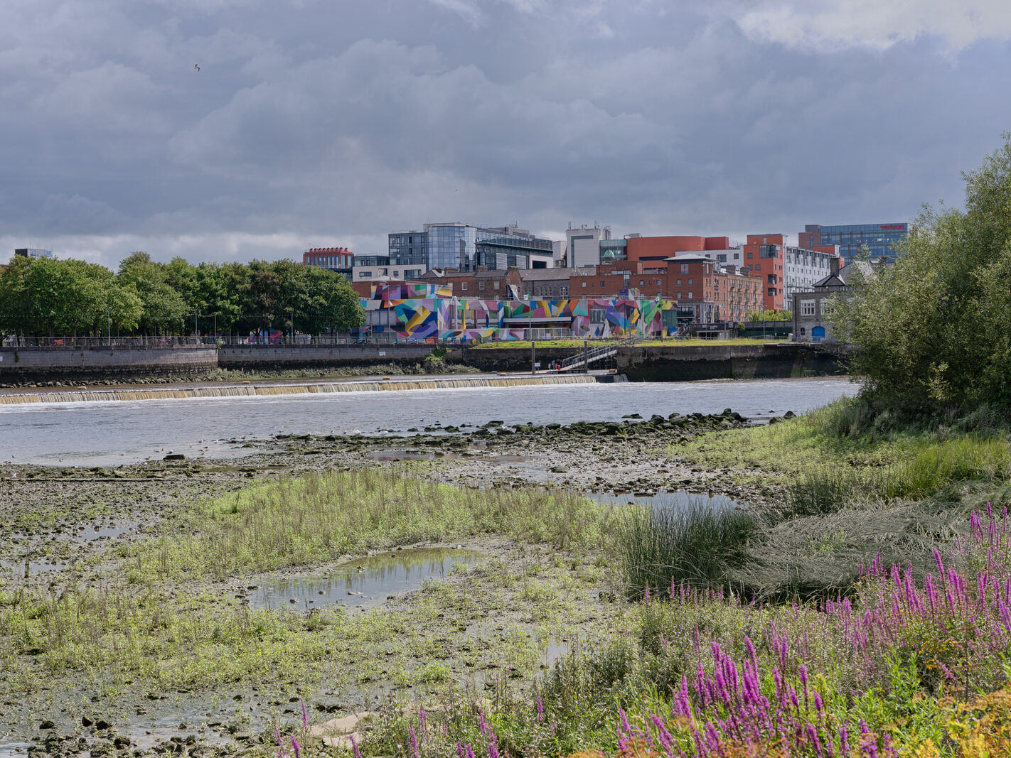 Overview of the Honan's Quay mural by Digo Diego, showcasing its organic forms and vibrant palette, designed to enhance and revitalise the city space
