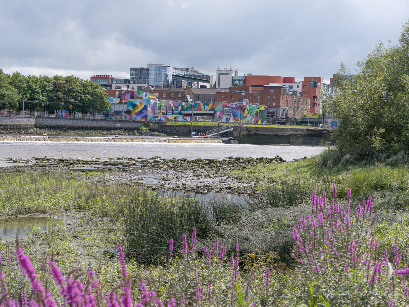 Overview of the Honan's Quay mural by Digo Diego, showcasing its organic forms and vibrant palette, designed to enhance and revitalise the city space
