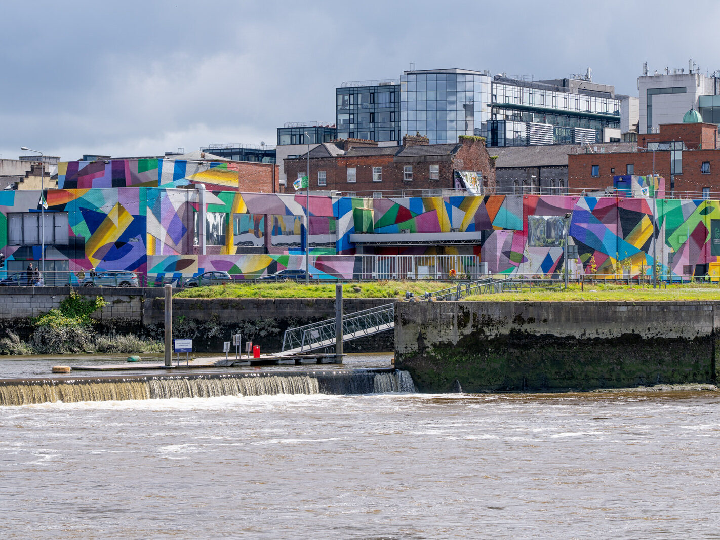 Overview of the Honan's Quay mural by Digo Diego, showcasing its organic forms and vibrant palette, designed to enhance and revitalise the city space