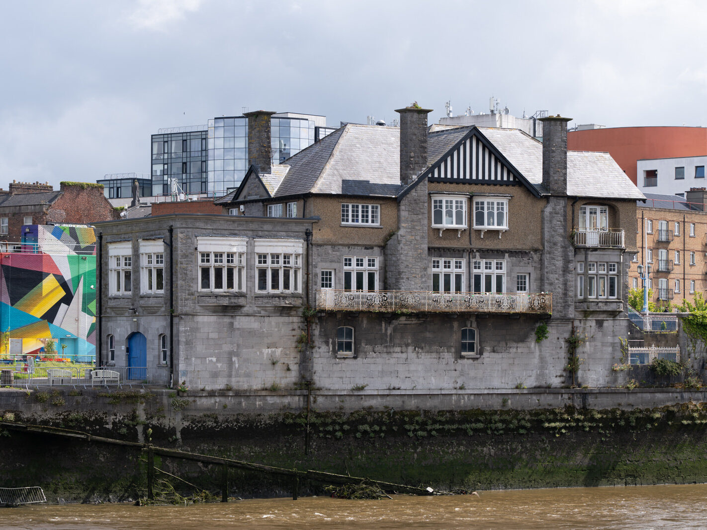Overview of the Honan's Quay mural by Digo Diego, showcasing its organic forms and vibrant palette, designed to enhance and revitalise the city space