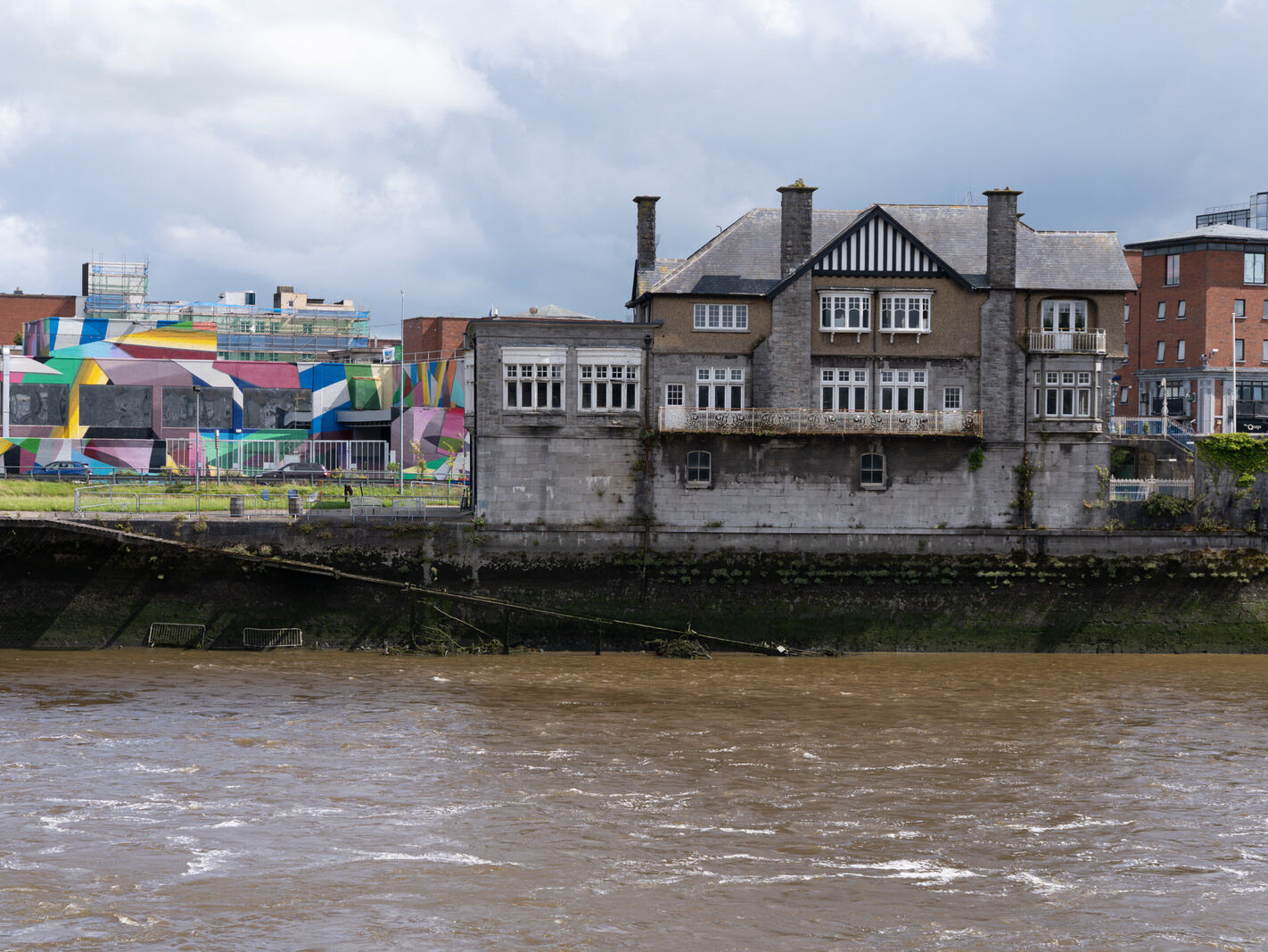 Overview of the Honan's Quay mural by Digo Diego, showcasing its organic forms and vibrant palette, designed to enhance and revitalise the city space