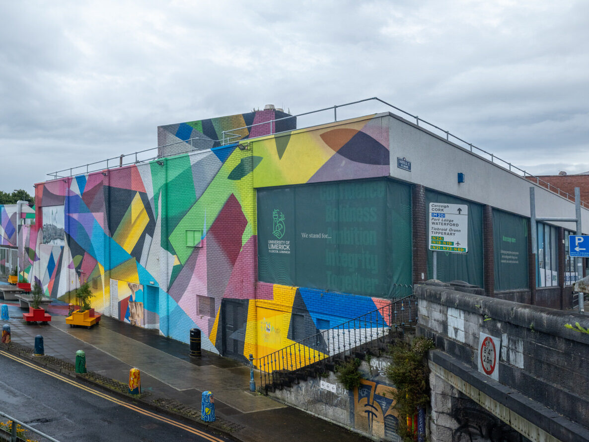 Overview of the Honan's Quay mural by Digo Diego, showcasing its organic forms and vibrant palette, designed to enhance and revitalise the city space