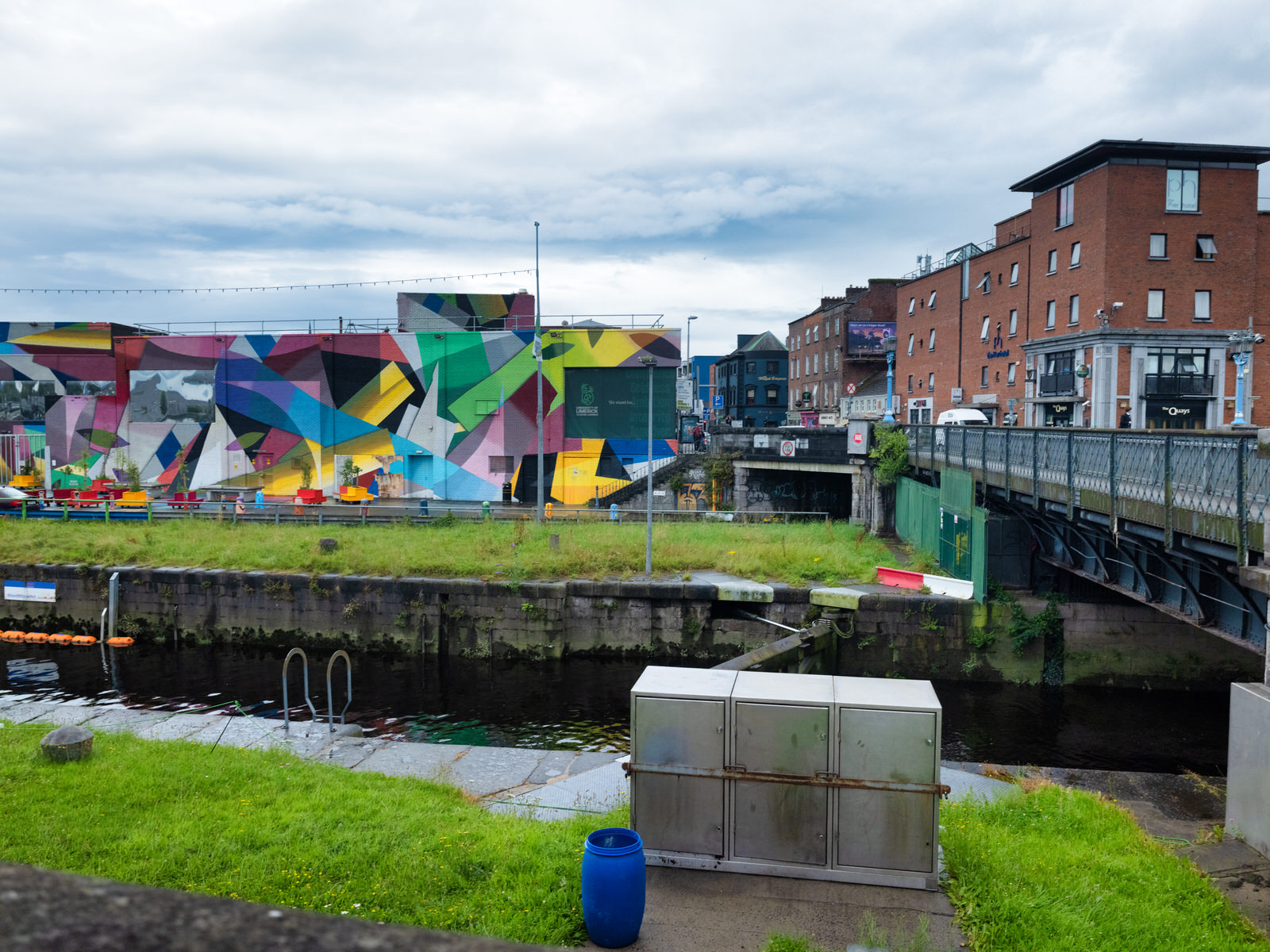 Overview of the Honan's Quay mural by Digo Diego, showcasing its organic forms and vibrant palette, designed to enhance and revitalise the city space