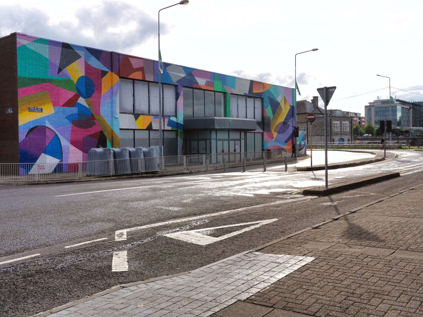 Overview of the Honan's Quay mural by Digo Diego, showcasing its organic forms and vibrant palette, designed to enhance and revitalise the city space