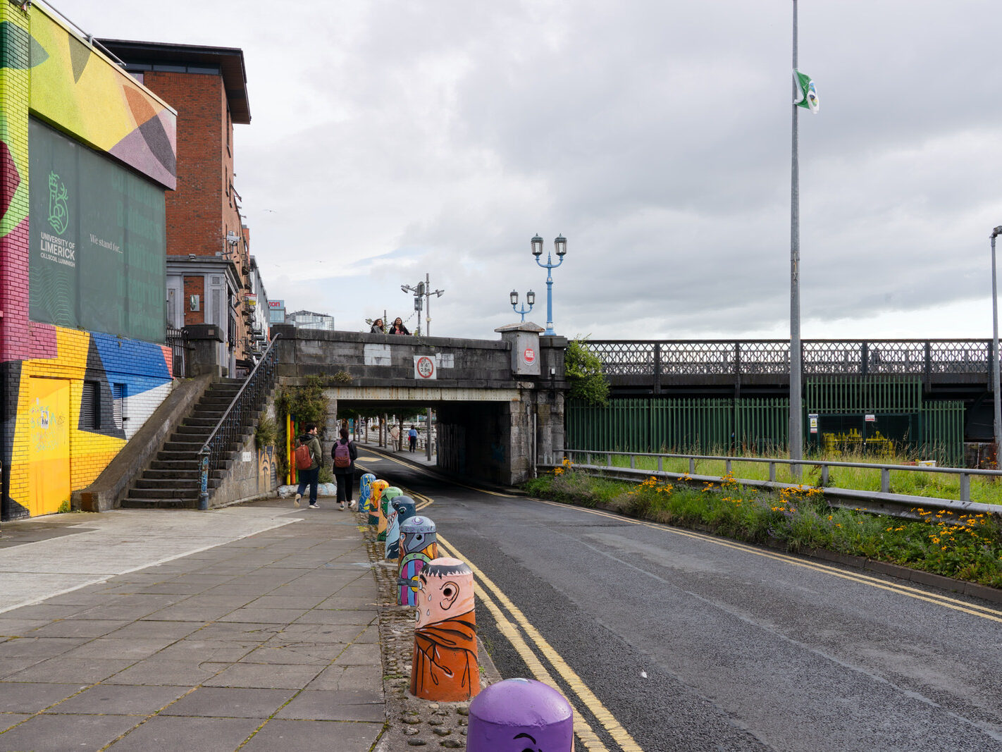 Overview of the Honan's Quay mural by Digo Diego, showcasing its organic forms and vibrant palette, designed to enhance and revitalise the city space