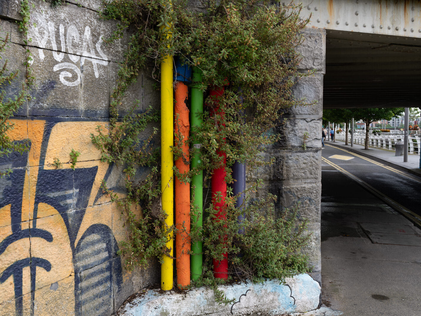 Overview of the Honan's Quay mural by Digo Diego, showcasing its organic forms and vibrant palette, designed to enhance and revitalise the city space