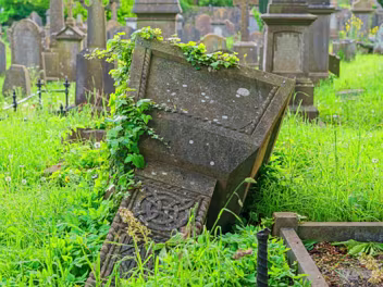 ST JOHN'S CEMETERY The first thing you'll notice about St. John's Cemetery is the distinctive orange/brown hue of its gravestones. This...