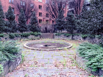 THE PEACE PARK