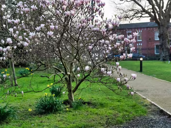 PUBLIC PARKS AND GARDENS