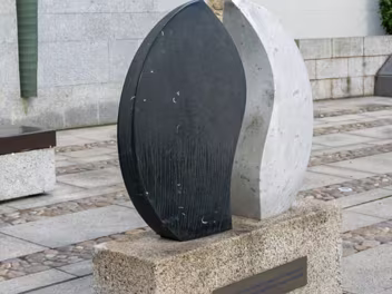 DUBLIN CASTLE The gardens are situated on or near the site of the original "dubh linn" (black pool), from which Dublin derives its...