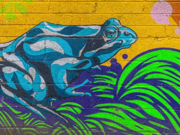 STREET IN HERBERT PARK "Herbert Habitat," a vibrant piece of street art, graces the walls of The Hive in Herbert Park, Dublin 4. Commissioned...