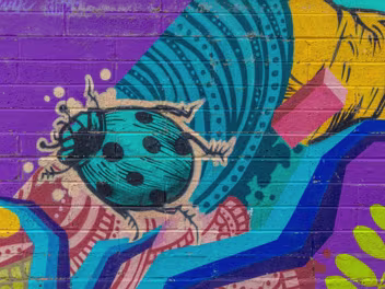 MURAL IN HERBERT PARK 7 FEBRUARY 2025 "Herbert Habitat," a vibrant piece of street art, graces the walls of The Hive in Herbert Park, Dublin 4. Commissioned...