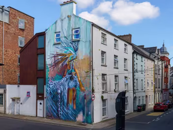By Sonny Sundancer Sonny Sundancer, also known as Sonny Behan, is a South African urban contemporary artist who is currently based in Los...
