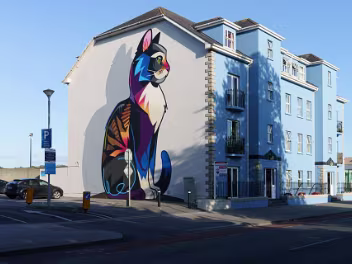 Cat Mural By Dan Leo Waterford 2021 Dan Leo is a British street artist, born in London, who moved to Ireland at a young age. He is a multidisciplinary...