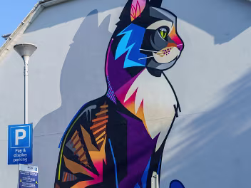 MURAL BY DAN LEO 2 PARK ROAD WATERFORD Dan Leo is a British street artist, born in London, who moved to Ireland at a young age. He is a multidisciplinary...