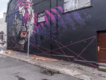 SONNY SUNDANCER WORKING ON HIS MURAL The "Electric Fury" mural is located on Newgate Street in Waterford, Ireland. This striking artwork was created as part...