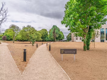 PEOPLES PARK IN WATERFORD JULY 2018 Back in July 2018, I spent some time photographing the People's Park in Waterford. I remember being fascinated by the...