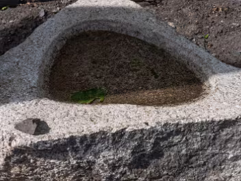 SAINT PATRICK WAS HERE Both St. Patrick's Park and the Trinity College well are deeply embedded in Dublin's historical and cultural narrative...