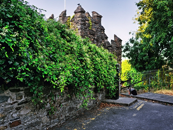 CARRIGEEN PARK AND THOMAS HILL IN WATERFORD