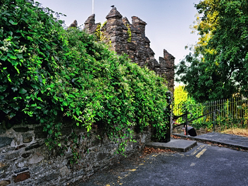 CARRIGEEN PARK AND THOMAS HILL IN WATERFORD Tucked away off the main thoroughfares lies a quiet residential street known today as Carrigeen Park.