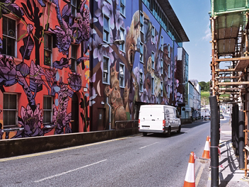 FITZWILTON MURALS