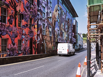 FITZWILTON MURALS Long before the Fitzwilton Hotel on Bridge Street became a central fixture of the Waterford Walls international street...