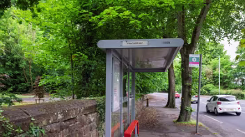 BELMONT PARK Discover the hidden charm of Belmont Park in East Belfast. A 28-acre semi-wild oasis featuring wildflower meadows,...