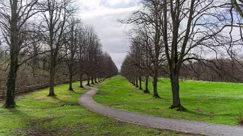 STORMONT ESTATE Discover the transformation of the Stormont Estate in Belfast from March 2019 to 2026. This guide covers the iconic...