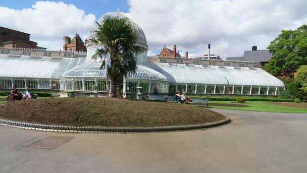 THE MAIN GLASSHOUSE