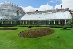 THE MAIN GLASSHOUSE AT BELFAST BOTANIC GARDENS [PHOTOGRAPHED MAY 2017]-235407-1 THE MAIN GLASSHOUSE