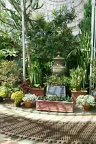 THE MAIN GLASSHOUSE AT BELFAST BOTANIC GARDENS [PHOTOGRAPHED MAY 2017]-235412-1 THE MAIN GLASSHOUSE