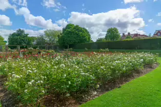THE BELFAST BOTANIC GARDENS [PHOTOGRAPHED MAY 2017]-235417-1