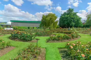 THE BELFAST BOTANIC GARDENS [PHOTOGRAPHED MAY 2017]-235419-1