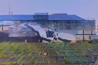 DERELICT SITE NEAR THE RAMADA ENCORE HOTEL [GREAT PATRICK STREET AREA MAY 2017]-235560-1 DERELICT SITE