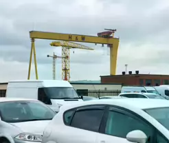 THE DOMINATING CRANES OF BELFAST [SAMSON AND GOLIATH]-235503-1