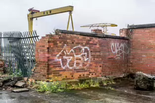 THE DOMINATING CRANES OF BELFAST [SAMSON AND GOLIATH]-235508-1