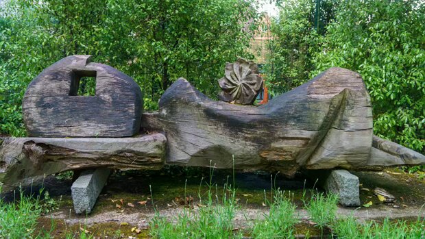 BOTANIC GARDENS In 2017, the Botanic Gardens in Belfast were a vibrant and popular destination, offering visitors a mix of historical...
