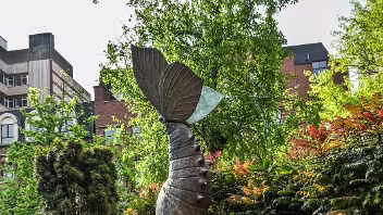 BLACKSTAFF SQUARE 2011