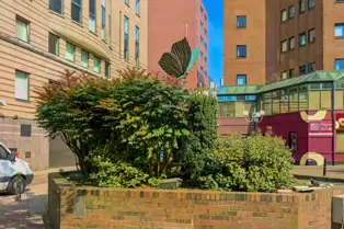 IN MAY 2011 BLACKSTAFF SQUARE HAD A LITTER PROBLEM [FEATURING A SCULPTURE BY ANNA CHEYNE]-233150-1 BLACKSTAFF SQUARE MAY 2011