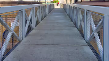 NEAR THE LAGAN WEIR MAY 2014