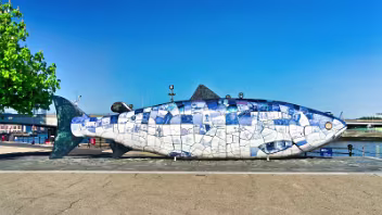 A BIG FISH STORY I met some tourists and I told them that it was good luck to kiss the Bigfish in Belfast and sure enough, much to my...