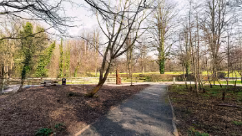 WOOD SCULPTURE BY WILL FOGARTY Explore the silent beauty of Stormont Estate in March 2022. Discover the "Magic" wood sculptures by artist Will Fogarty...