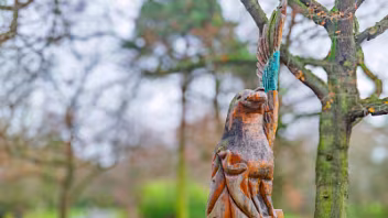 CHAINSAW ART IN THE PARK