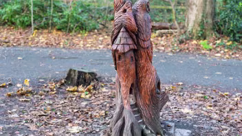 OWL AND FAIRY HOUSE