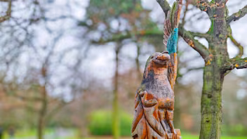 CHAINSAW ART IN THE PARK At first glance, the figure might be mistaken for a bird of prey due to its prominent perch, but it is, in fact, a...