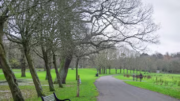 ORMEAU PARK - THE GRANDEUR AND THE GRIT rmeau Park is a space of contrast. It is a majestic remnant of Belfast’s aristocratic past that serves a vital modern...