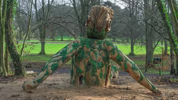 THE FOREST GIANT
