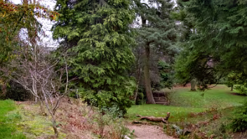 HEFEI WILD GARDEN