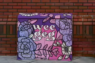 EXAMPLES OF PAINT-A-BOX STREET ART IN BELFAST [URBAN EXPRESSION 31 APRIL 2022]-232881-1